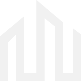 Logo Icon